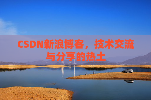 CSDN新浪博客，技术交流与分享的热土